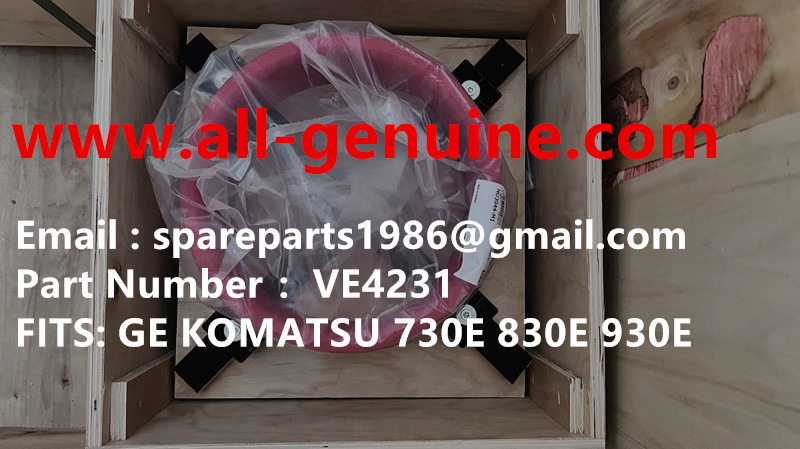 VE4231 BEARING NHL NTE240 NTE260 NTE160 BUCYRUS TEREX CATERPILLAR MT3600 MT4400AC MT3700 MT3300